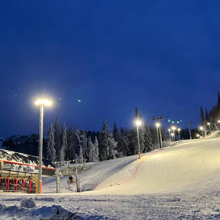 Nova planina Apartman Djokic - Apartman sa 1 Spavaćom Sobom - 42