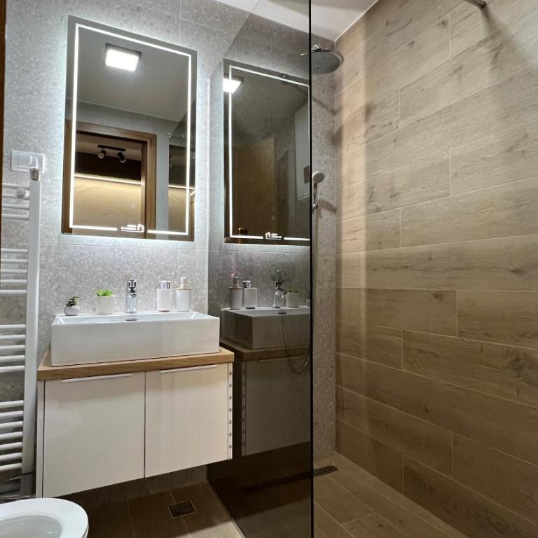 Nova planina Apartman Djokic - Apartman sa 1 Spavaćom Sobom - 27