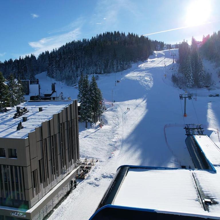 Nova planina Apartman Djokic - Apartman sa 1 Spavaćom Sobom - 38