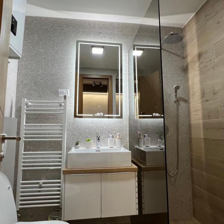 Nova planina Apartman Djokic - Apartman sa 1 Spavaćom Sobom - 24