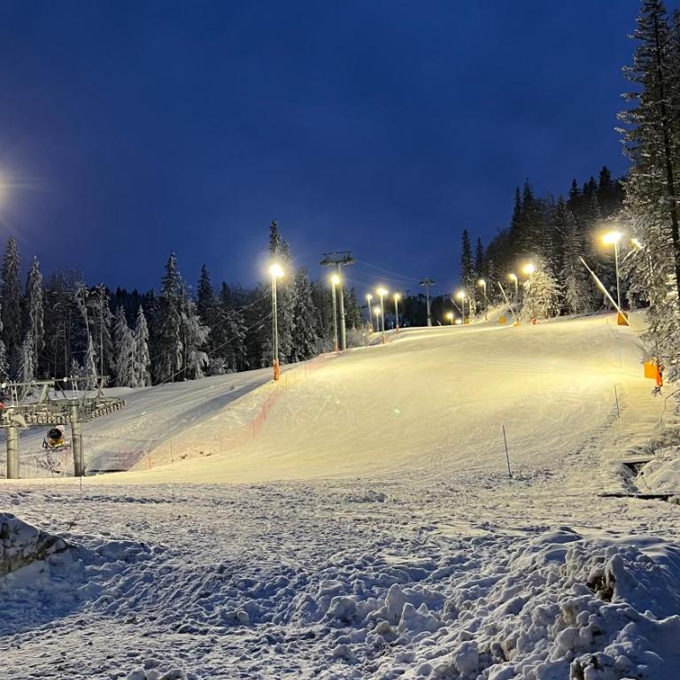 Nova planina Apartman Djokic - Apartman sa 1 Spavaćom Sobom - 39