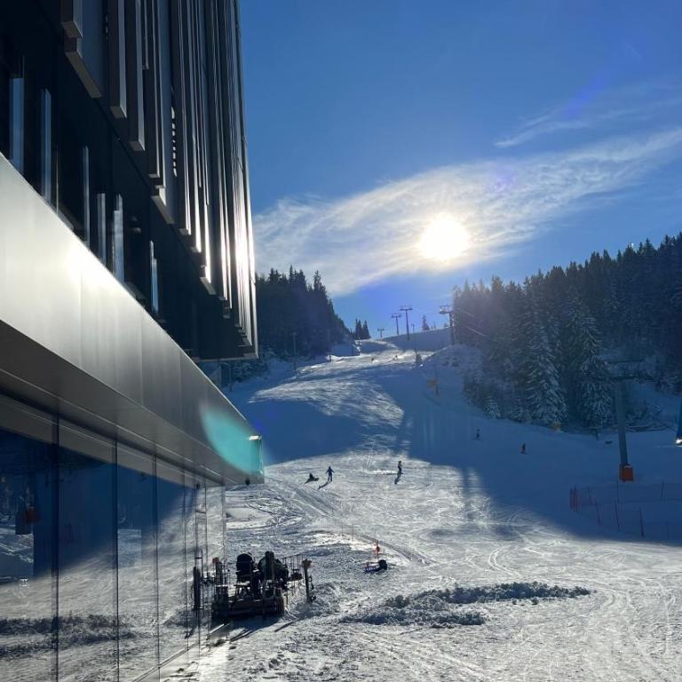 Nova planina Apartman Djokic - Apartman sa 1 Spavaćom Sobom - 40