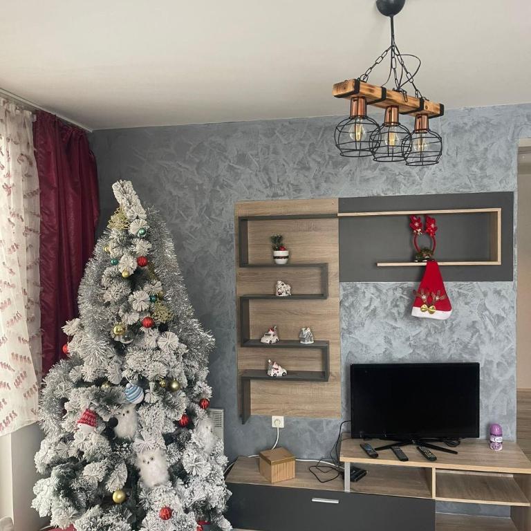 Aber Apartmani Kopaonik - Apartman sa 1 Spavaćom Sobom - 2