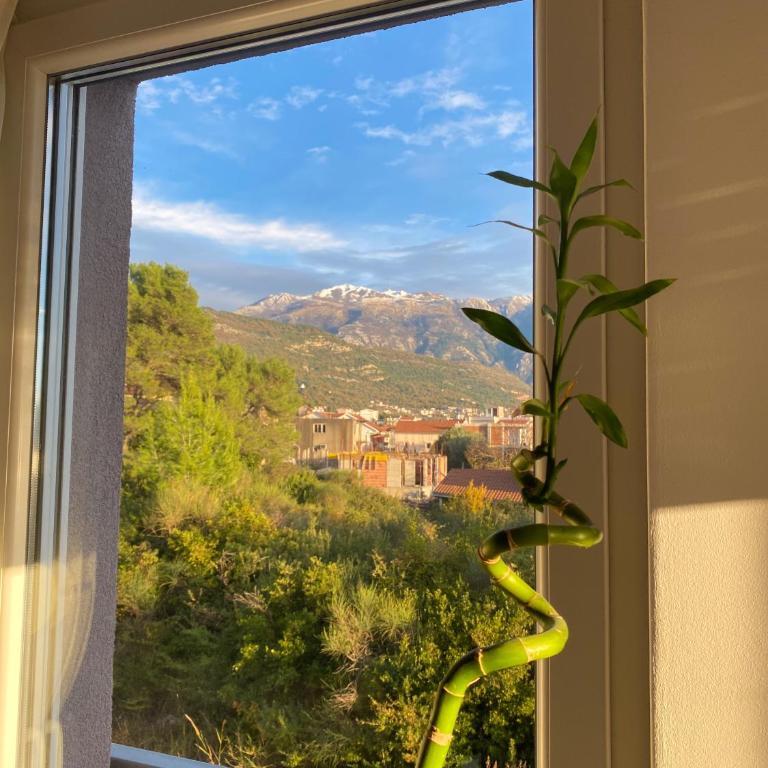 Sunny apartment in Tivat - Apartman sa 1 Spavaćom Sobom - 4