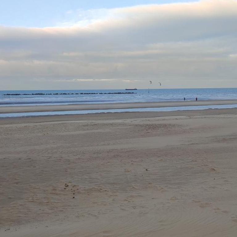 Villa Seven Malo - Appartement 1 Chambre - 32