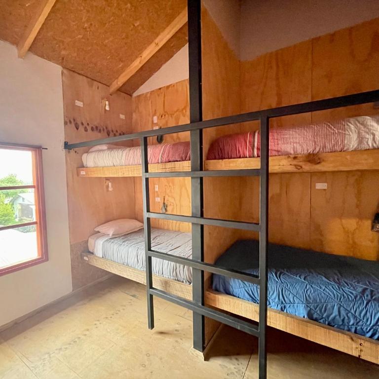 Mirlo’s hostel - Bed in 4-Bed Female Dormitory Room - 4