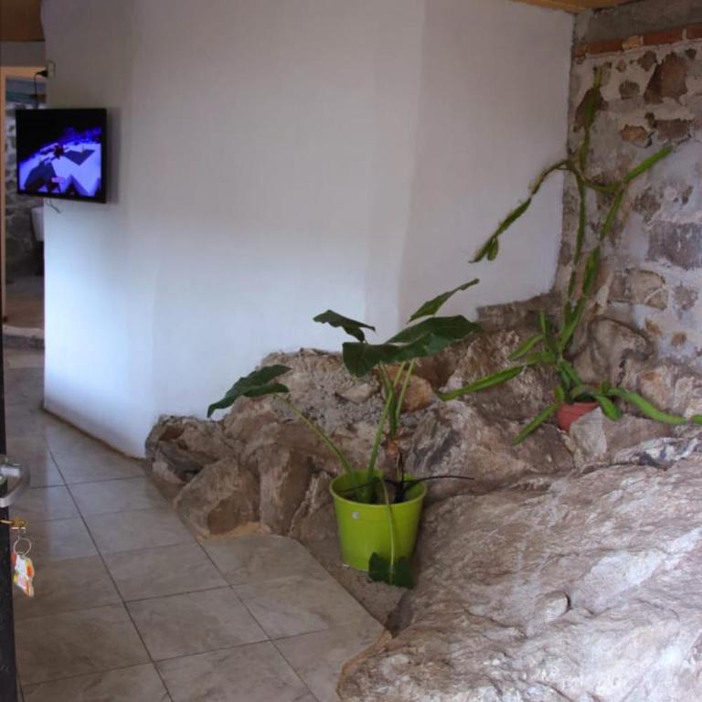 Refugio de Ángeles - Apartamento de 1 dormitorio - 8
