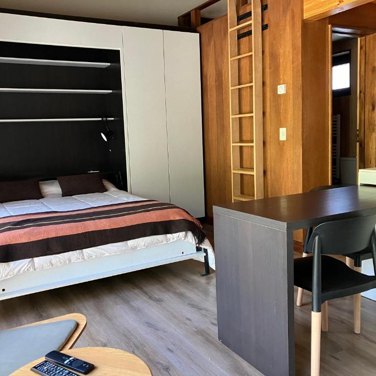 COIHUE, Moderno Monoambiente - Apartamento de 1 dormitorio - 20