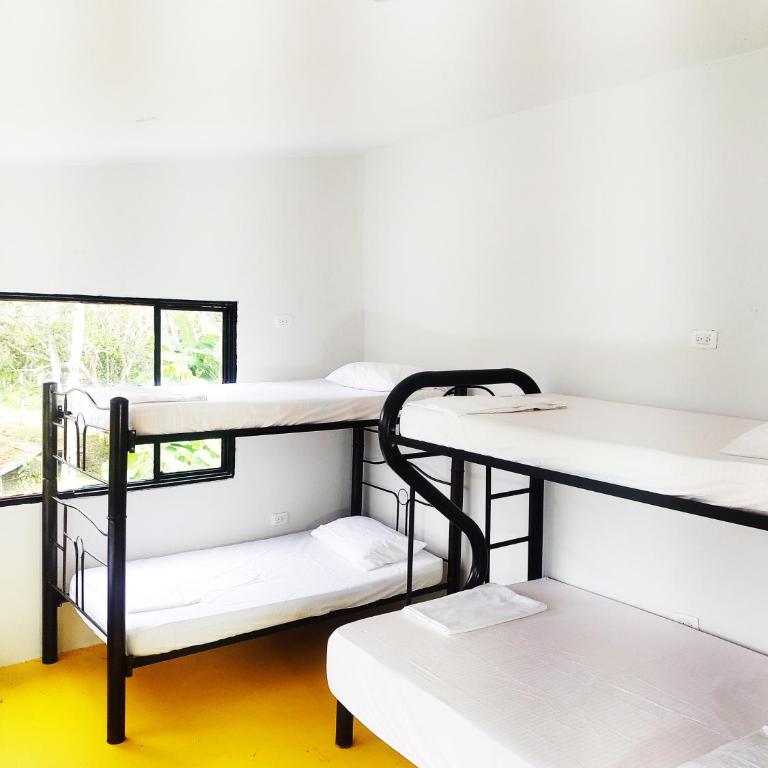 Amalaya Hostel - Cama en habitación compartida de 6 camas - 1