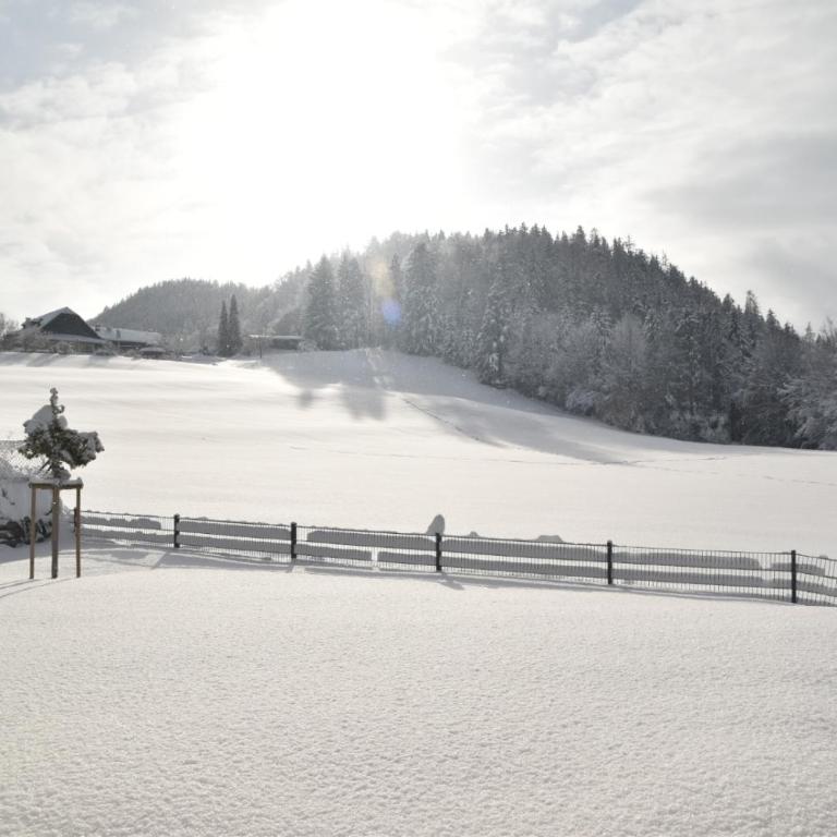 PureEscape - Apartment mit Blick auf die Berge - 34