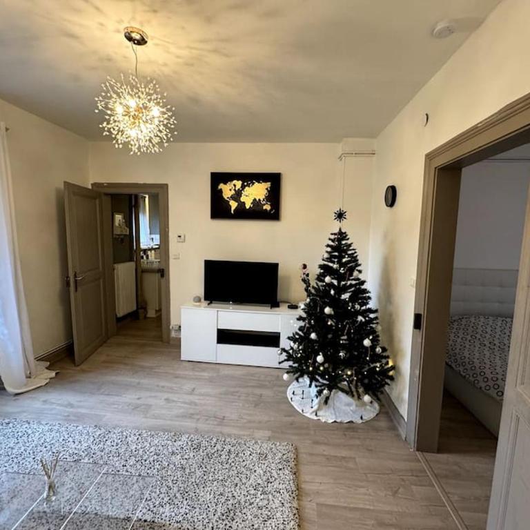 Charmant appartement de 3 pièces, Colmar - Appartamento con 2 Camere da Letto - 10