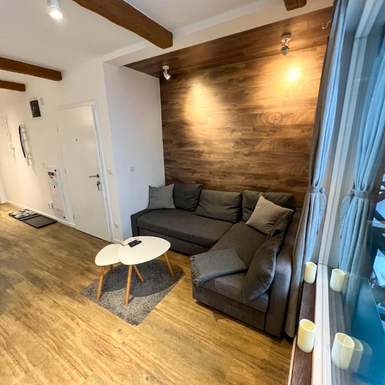 Apartment A6 Kopaonik - One-Bedroom Apartment - 2
