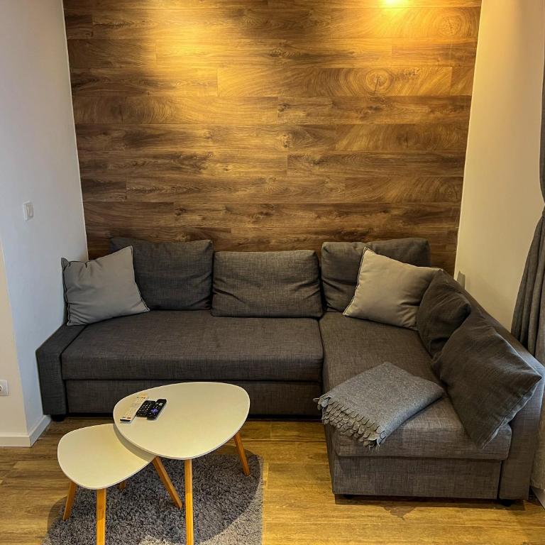 Apartment A6 Kopaonik - One-Bedroom Apartment - 3