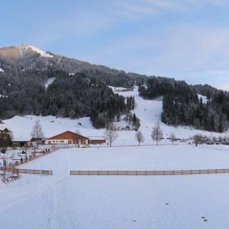 Hotel Alpenhof - Junior Suite - 5