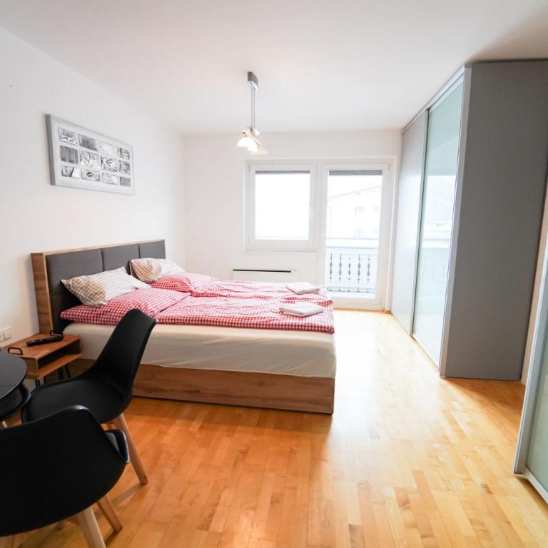 Schlafgut Küssler - 70m vom City Express - Apartment mit Seeblick - 11
