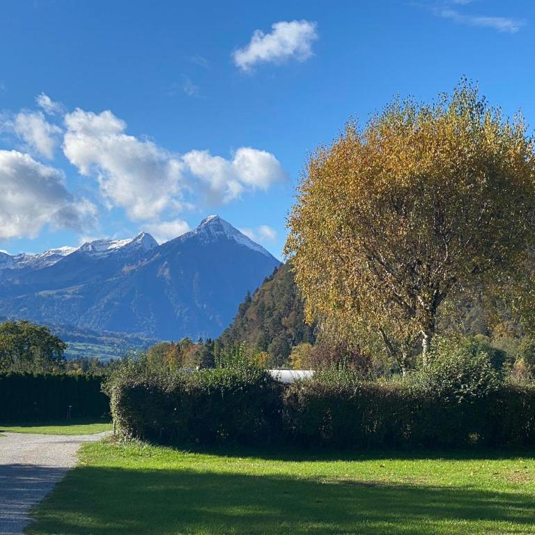 Unique Tiny Eco Lodges with gorgeous views to Jungfrau Massiv - Vacation Home - 18