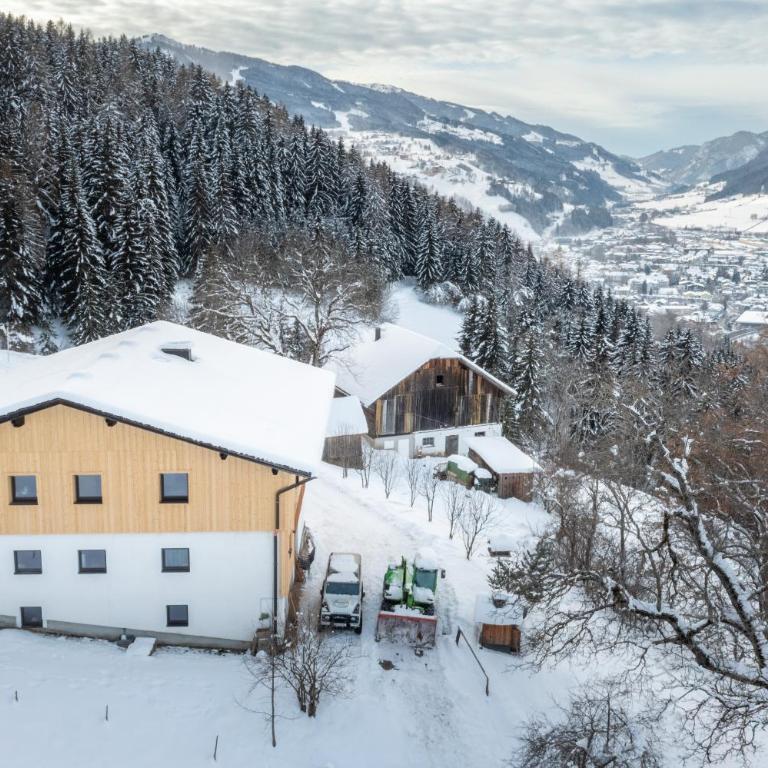 Appartements Uribi mit eigener Sauna by Schladmingurlaub - Apartment mit 1 Schlafzimmer - 10
