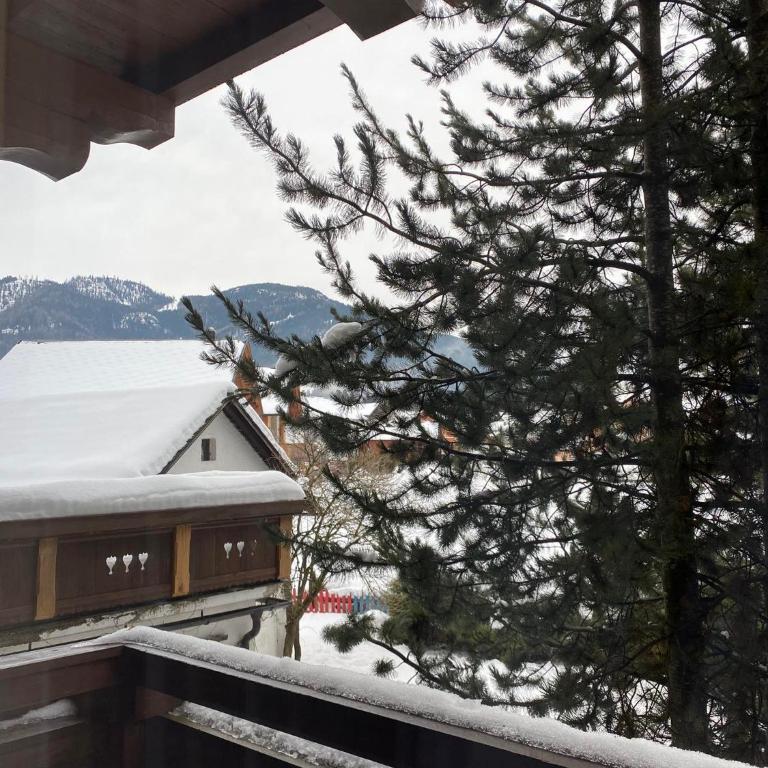 Hotel Aquamarin - Vierbettzimmer mit Bergblick - 5