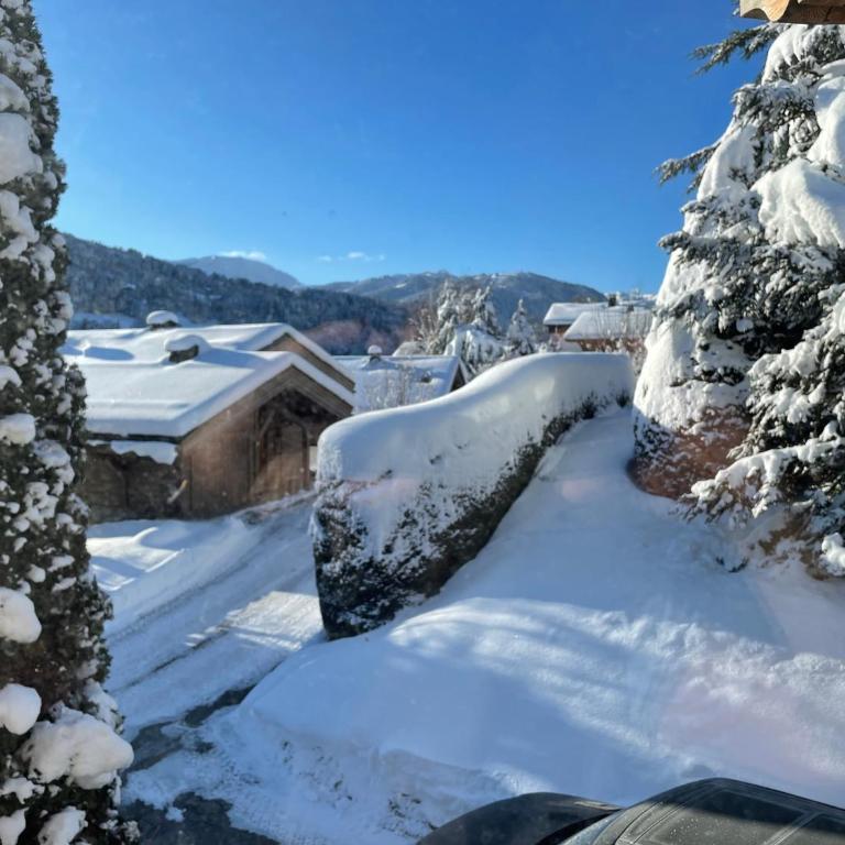Megève - Chalet Miage - Chalet 3 Chambres - 3