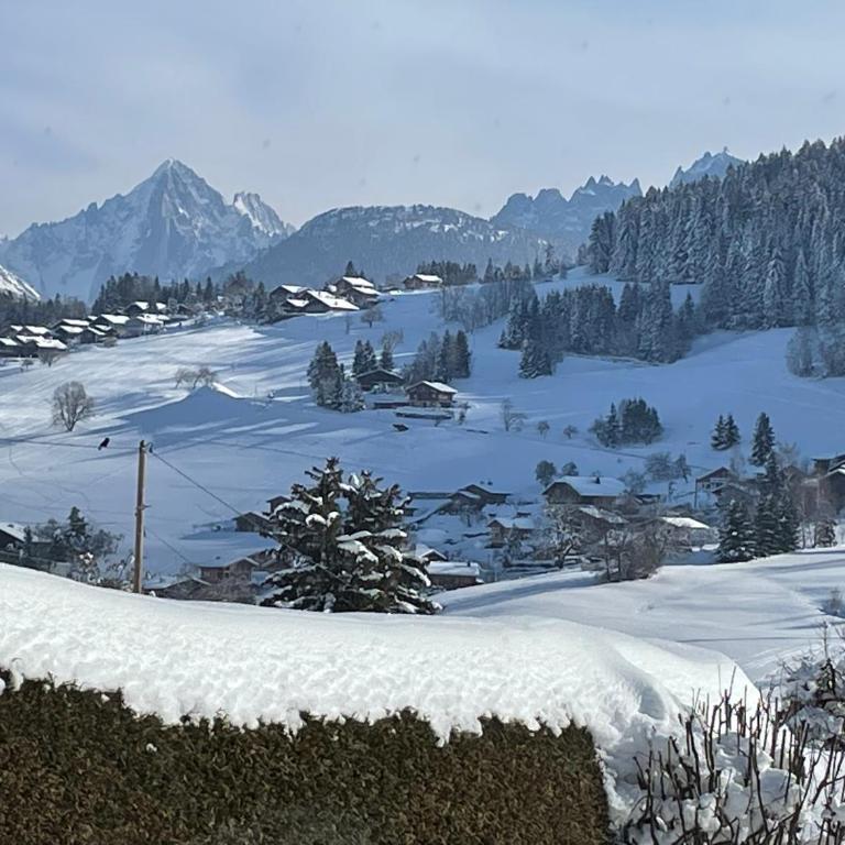 Megève - Chalet Miage - Chalet 3 Chambres - 47