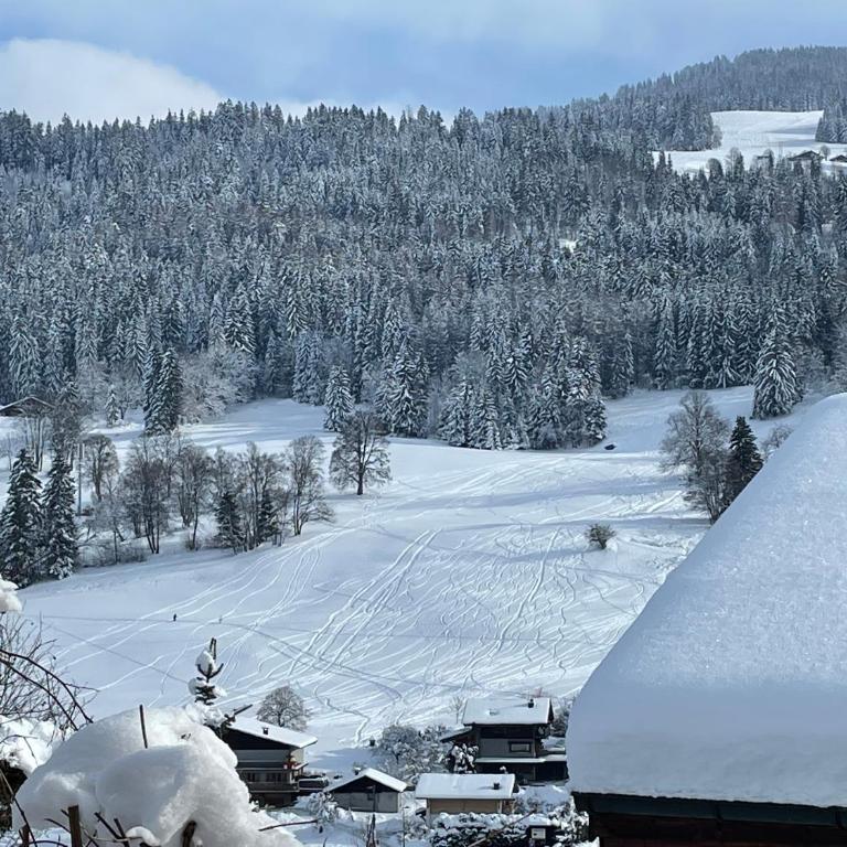 Megève - Chalet Miage - Chalet 3 Chambres - 5