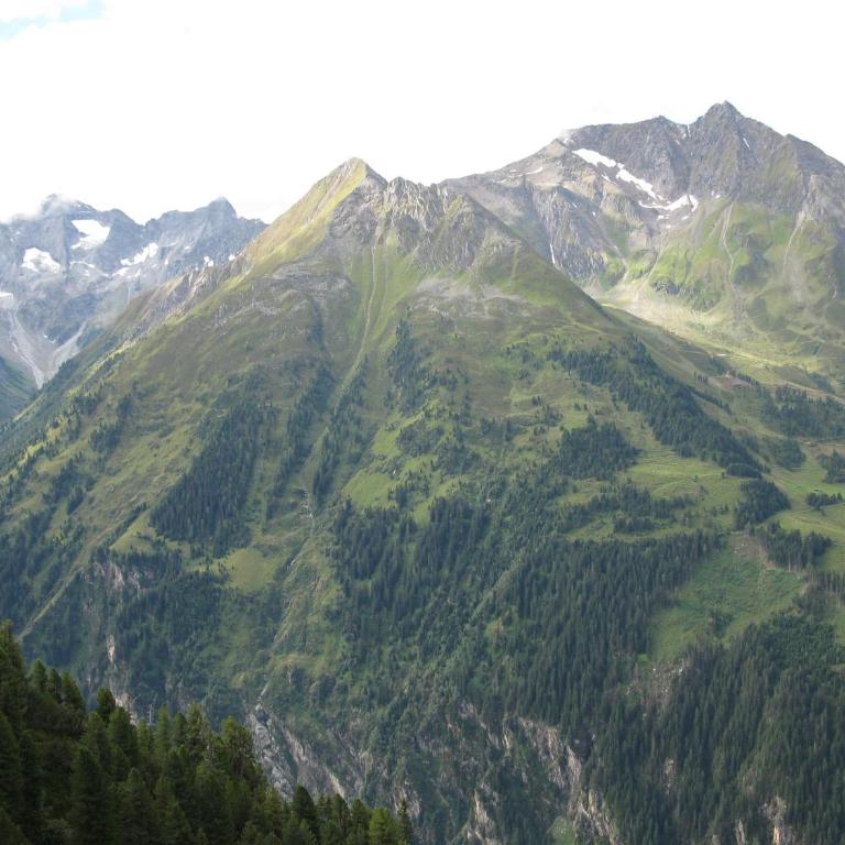Ferienwohnung SEPP - Appartamento con Vista Montagna - 23