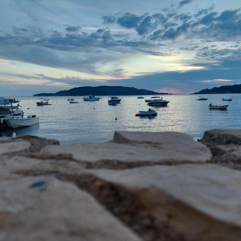 Apartment Vidakovic - Apartman sa Pogledom na More - 2