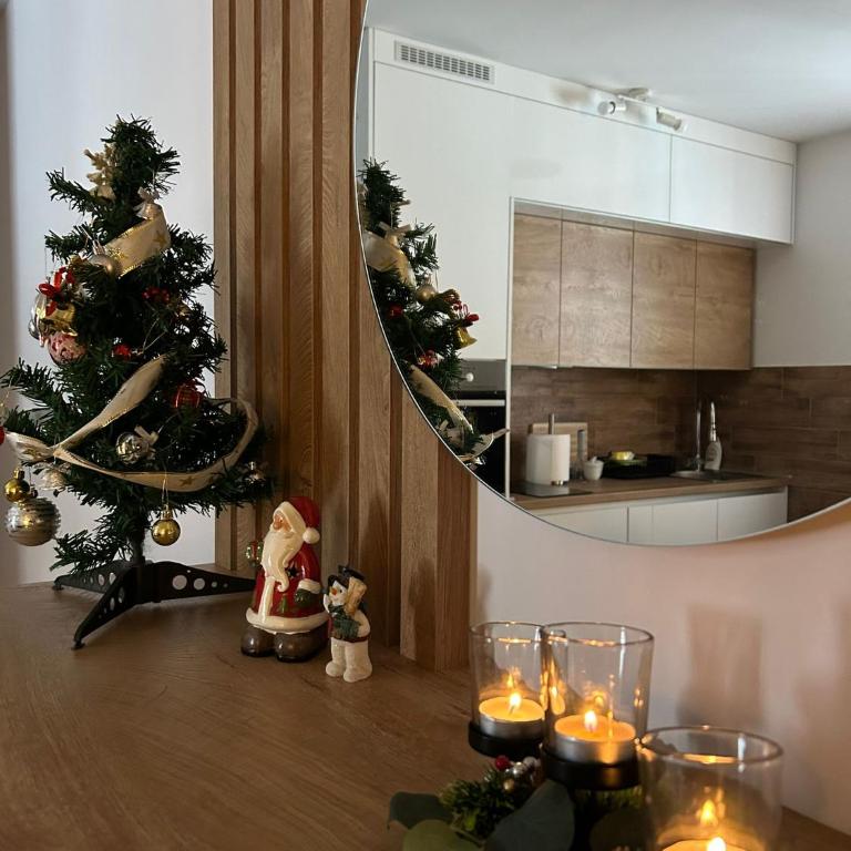 Garnet Star Apartments 1 - One-Bedroom Apartment - 3