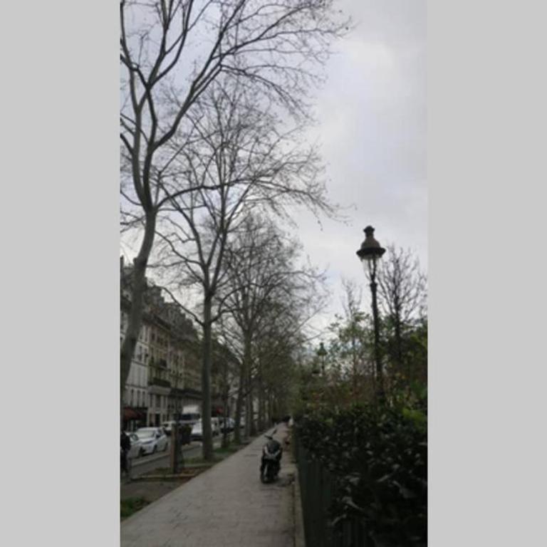 Studio Marais Ménilmontant - Appartement 1 Chambre - 15