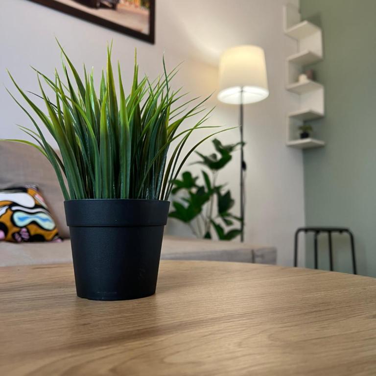 Under the Pine - One-Bedroom Apartment - 12