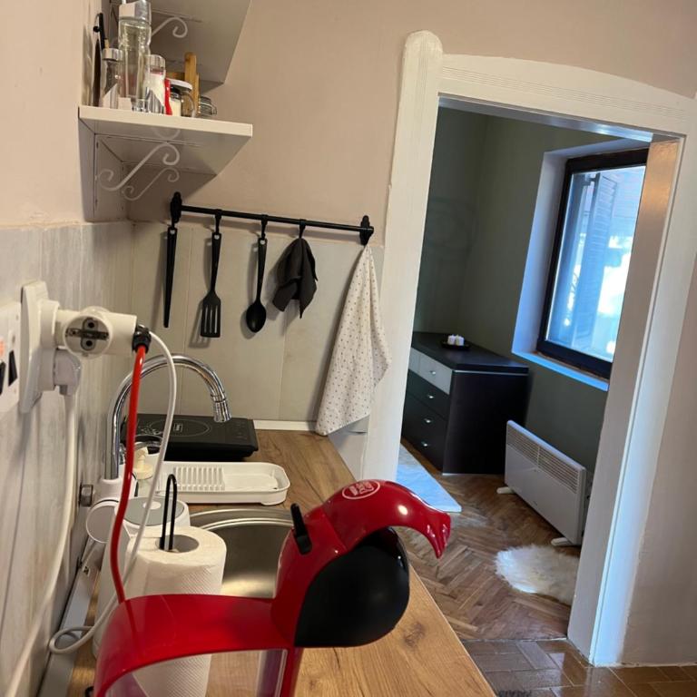 Under the Pine - Apartman sa 1 Spavaćom Sobom - 48