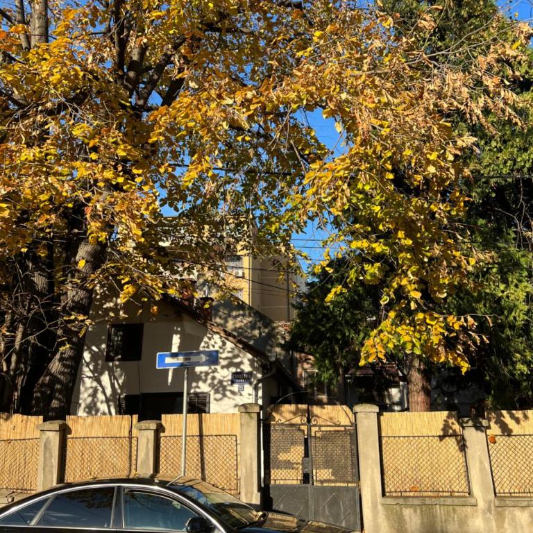 Under the Pine - Apartman sa 1 Spavaćom Sobom - 59