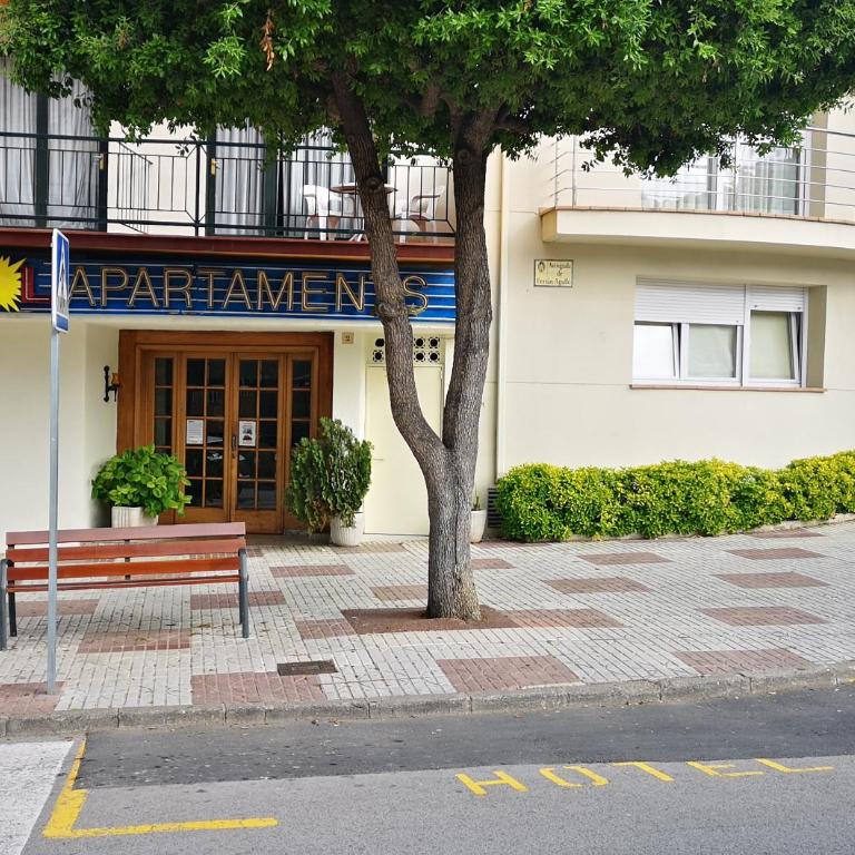 Apartamentos El Sol II - Estudio Estándar - 7