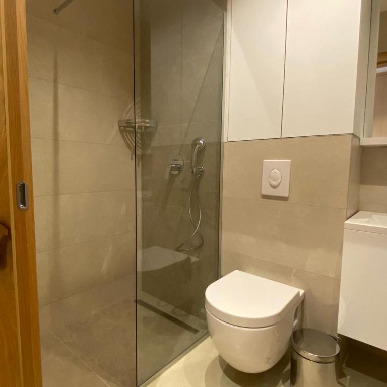 APART HOTEL Zlatni Javor - Trio Apartmani - Apartman sa 1 Spavaćom Sobom - 6