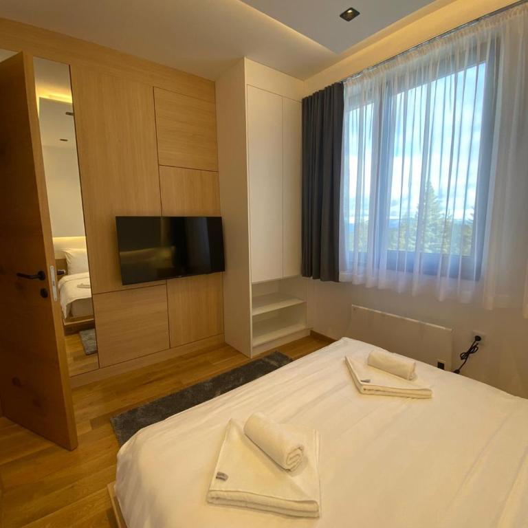 APART HOTEL Zlatni Javor - Trio Apartmani - Apartman sa 2 Spavaće Sobe - 8