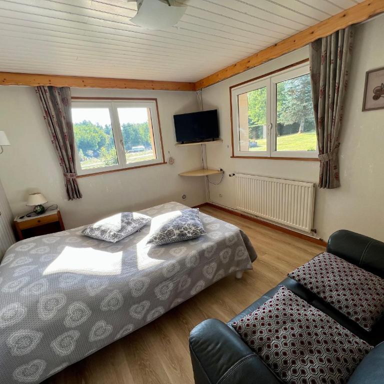 Gîte confortable à Gérardmer avec jardin, ski, randonnées et activités nautiques - FR-1-589-128 - Appartement - 12