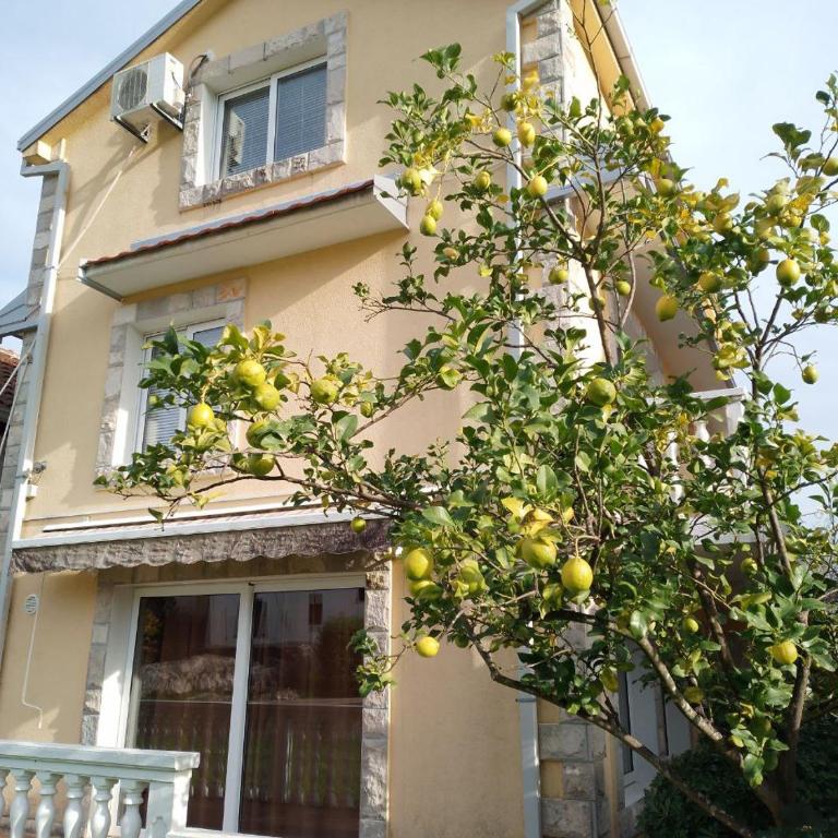 Krasici Sunhouse - Kuća sa 3 Spavaće Sobe - 9