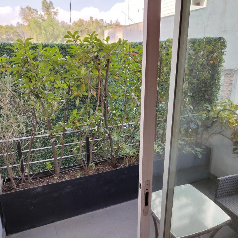 ZAMORA By Mr W - Apartment with Balcony - 7