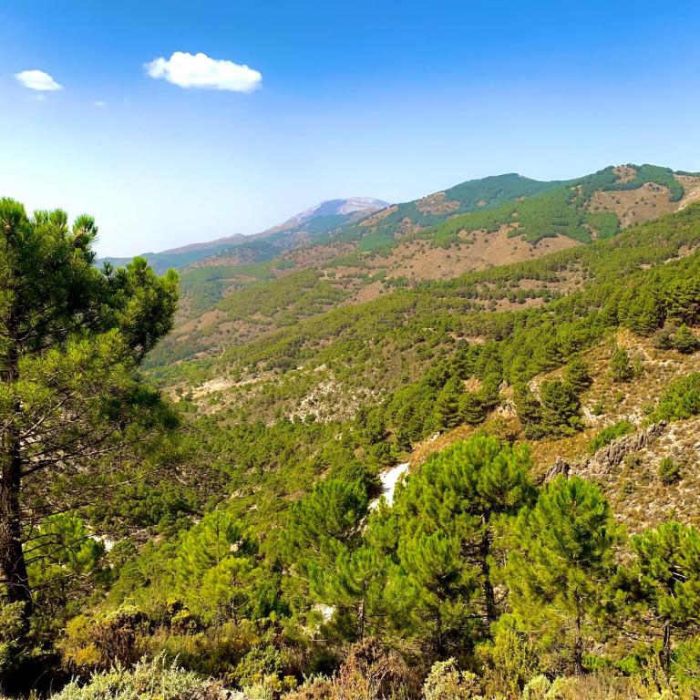 FINCA EL ALMENDRO - Casa de 5 dormitorios - 35