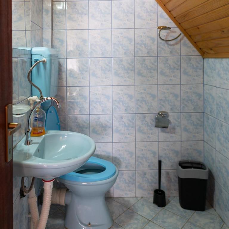 Vila Milica Apartmani - Vikendica - 17