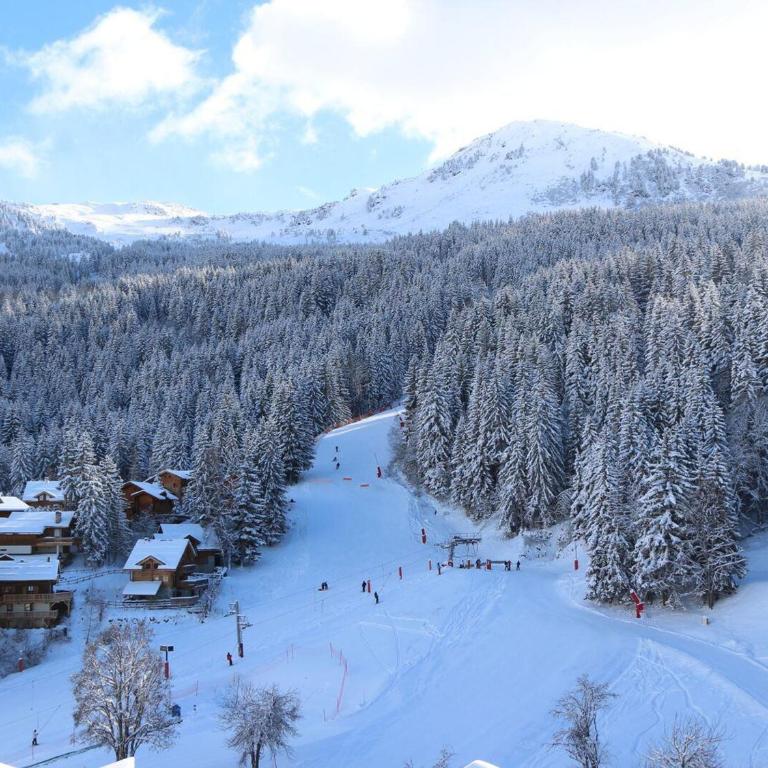 Appartement rénové au centre de La Tania avec parking - FR-1-568-47 - Apartment - 3