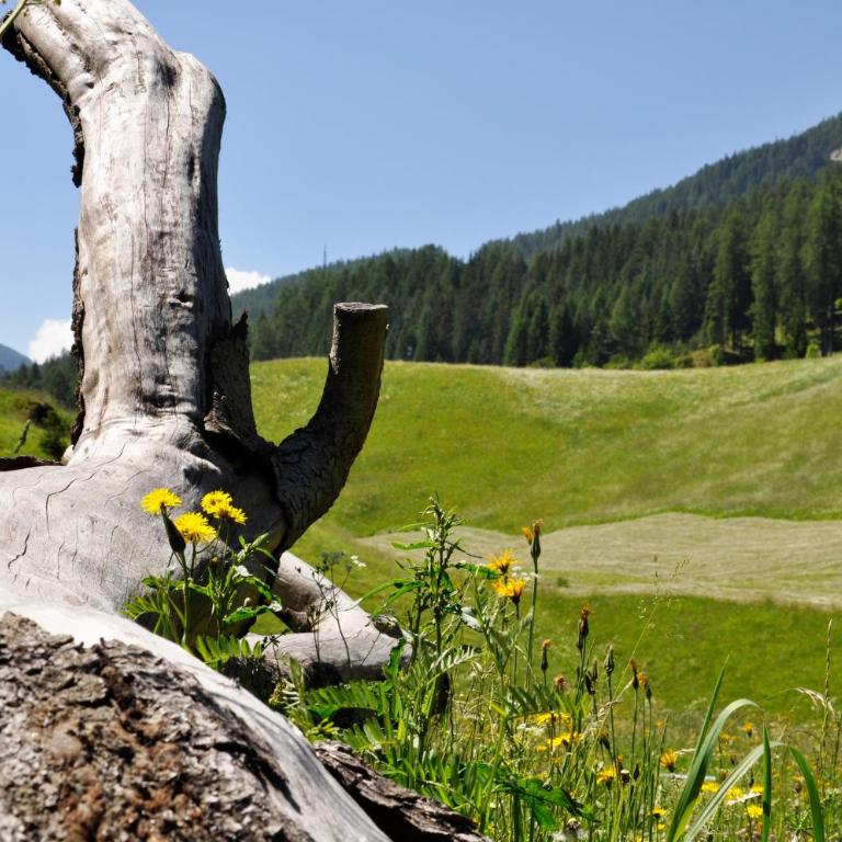 Guesthouse Rungg - Appartamento con Vista Montagna - 12