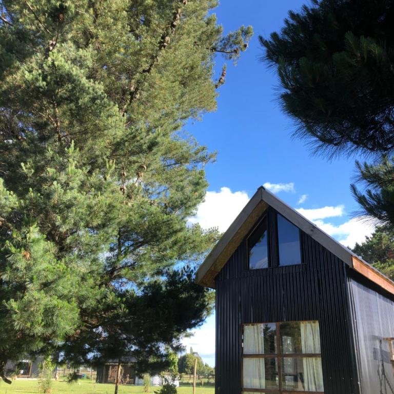 Tiny House, Tiny Black Frutillar - Family Room with Garden View - 1