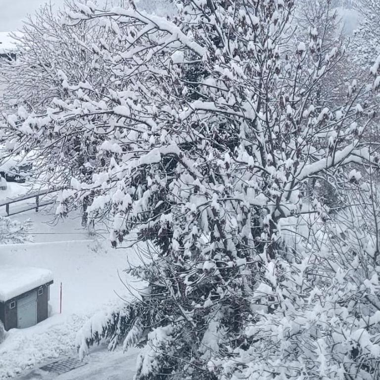 SNOW NEST: Superbe cocon enneigé - Appartement - 23