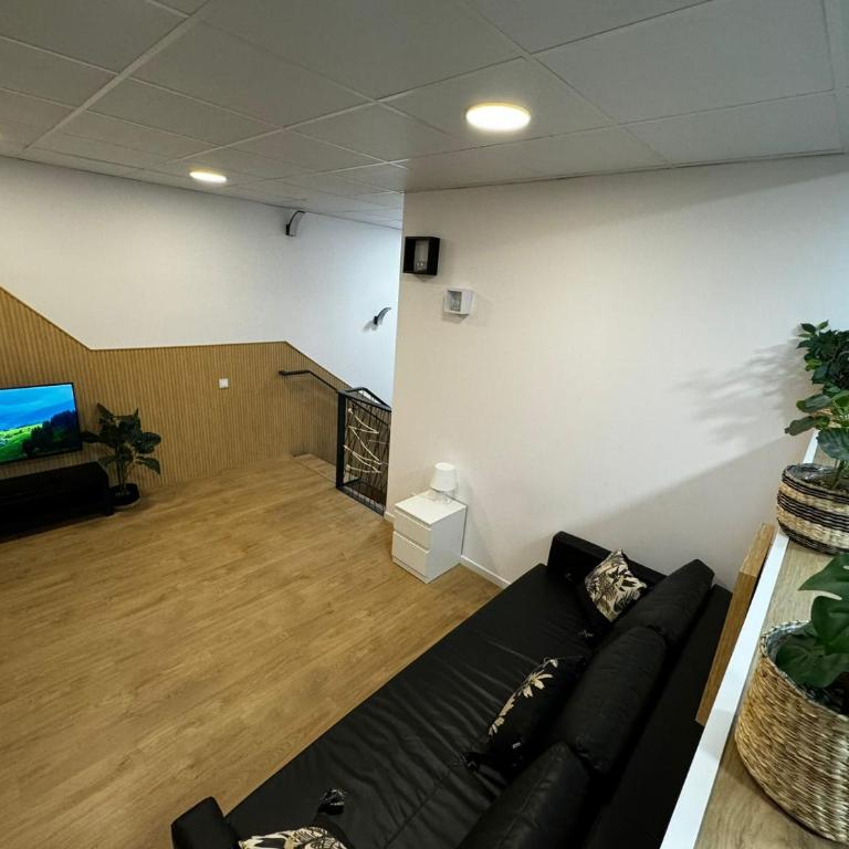 Carbonell 1 - Family Suite - 2