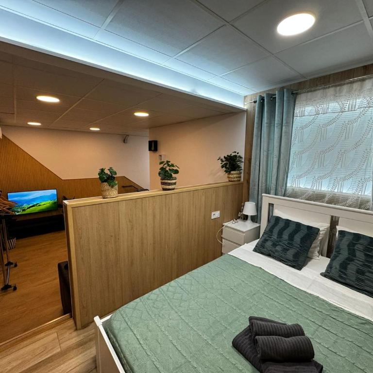 Carbonell 1 - Family Suite - 4