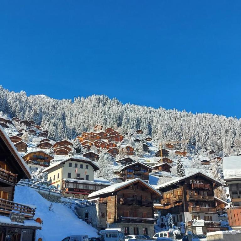 Agréable appartement à Grimentz, au pied des pistes - Apartment mit 2 Schlafzimmern - 24
