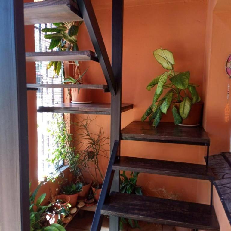 La Casa de Sol - Apartamento de 1 dormitorio - 39