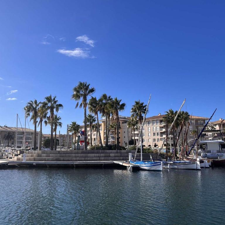 Studio cabine 2 pers à Port Fréjus, proche plage, internet inclus - FR-1-226A-168 - Appartamento - 14