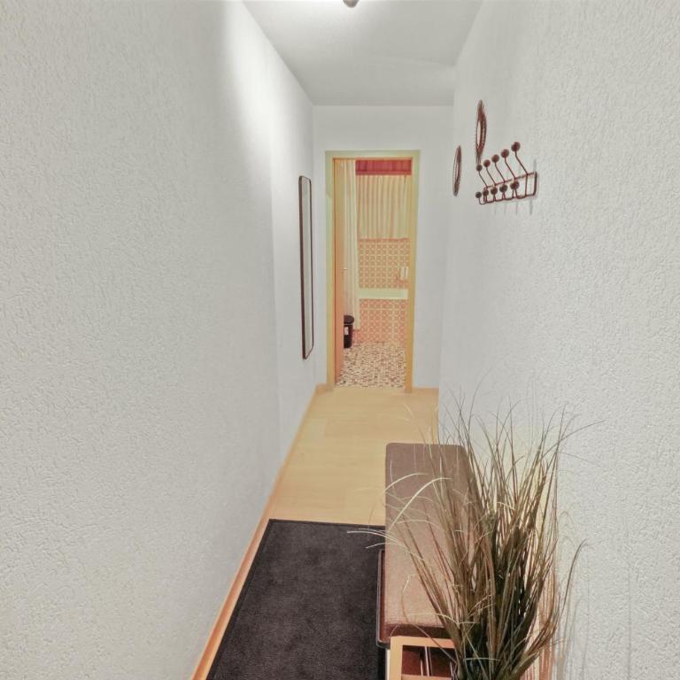 Chaleureux appartement plein centre - Apartamento de 1 dormitorio - 19